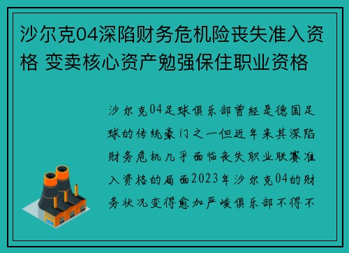 沙尔克04深陷财务危机险丧失准入资格 变卖核心资产勉强保住职业资格 沙尔克04深陷财务危机险丧失准入资格 变卖核心资产勉强保住职业资格